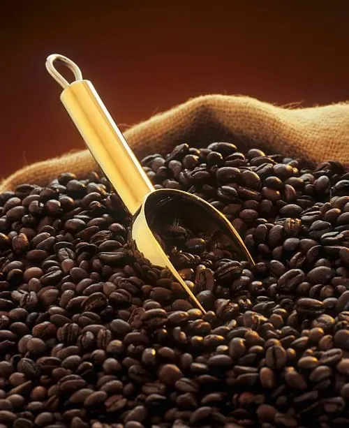 roasted-coffee-beans-with-golden-scoop-in-jute-sack.webp